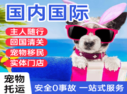 安阳红旗渠航空空运国际宠物托运 【国